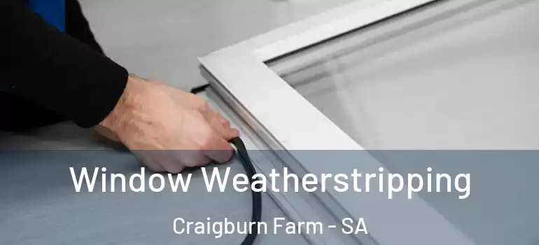 Window Weatherstripping Craigburn Farm - SA