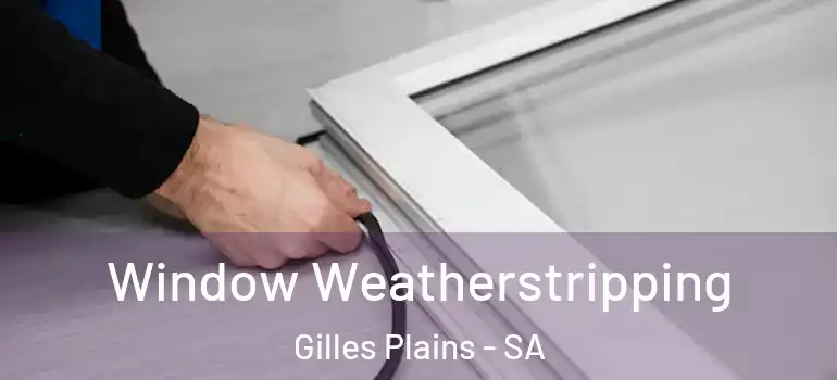  Window Weatherstripping Gilles Plains - SA