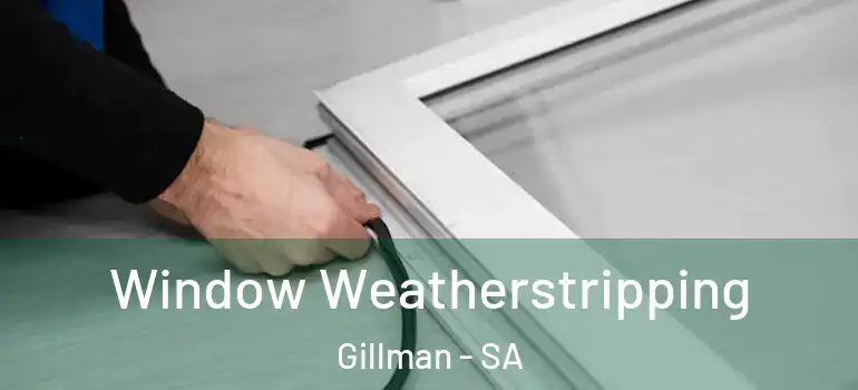 Window Weatherstripping Gillman - SA