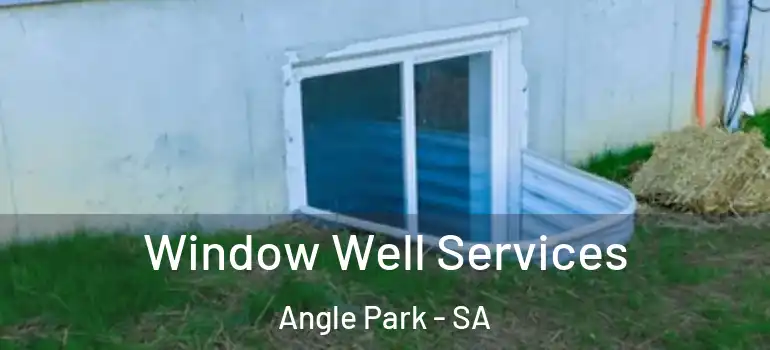 Window Well Services Angle Park - SA
