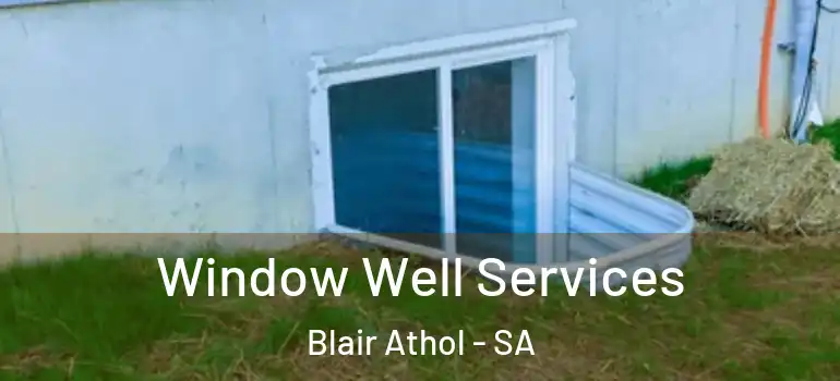 Window Well Services Blair Athol - SA