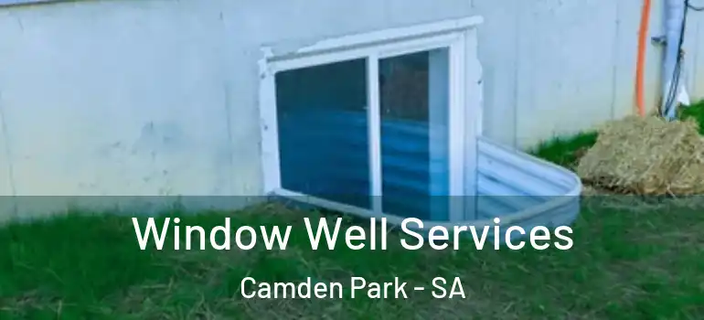  Window Well Services Camden Park - SA