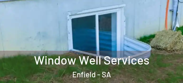  Window Well Services Enfield - SA