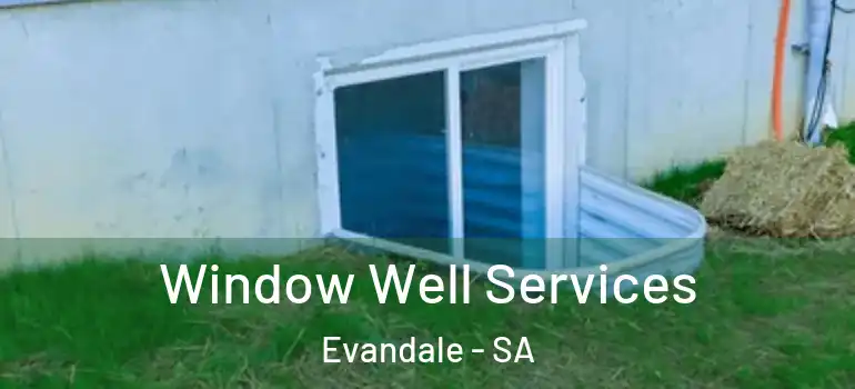  Window Well Services Evandale - SA