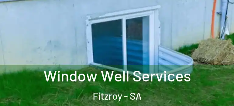  Window Well Services Fitzroy - SA