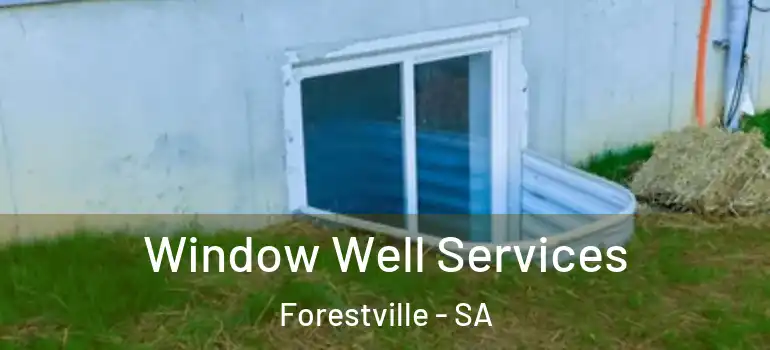  Window Well Services Forestville - SA