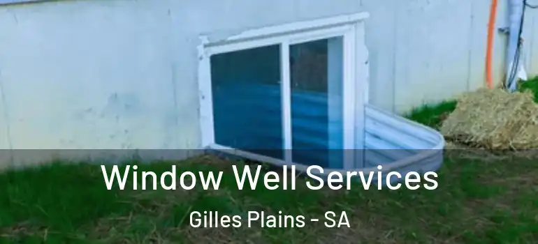 Window Well Services Gilles Plains - SA