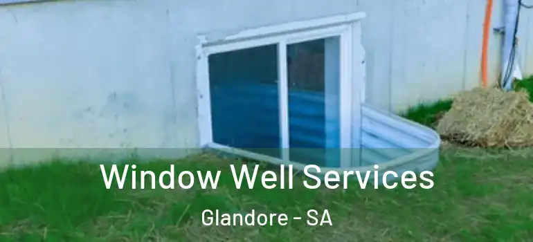 Window Well Services Glandore - SA