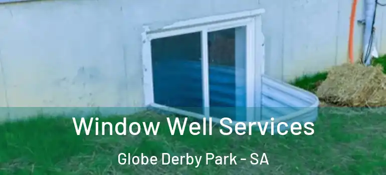 Window Well Services Globe Derby Park - SA