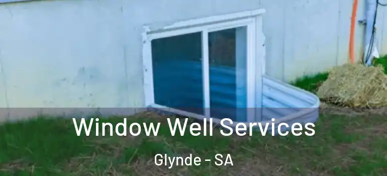 Window Well Services Glynde - SA