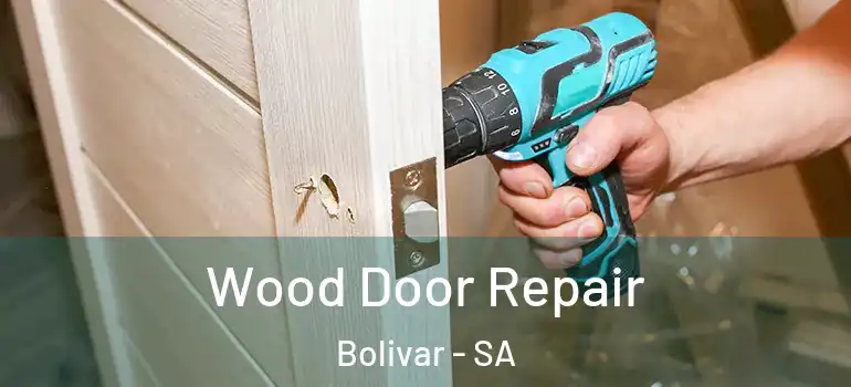 Wood Door Repair Bolivar - SA