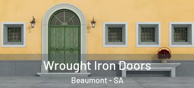 Wrought Iron Doors Beaumont - SA