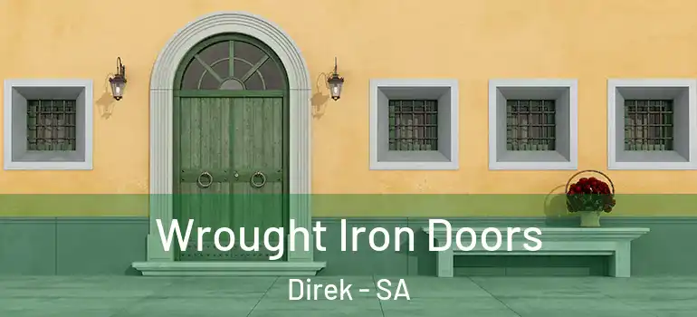  Wrought Iron Doors Direk - SA
